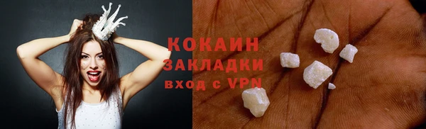 прущие грибы Алзамай